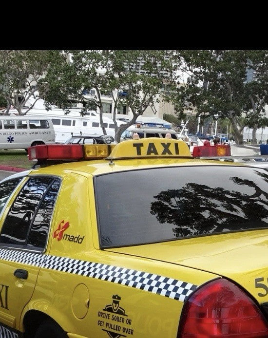 1/18 Scale Model Taxi Sign With Two Amber Lights And Lettering San Diego16
